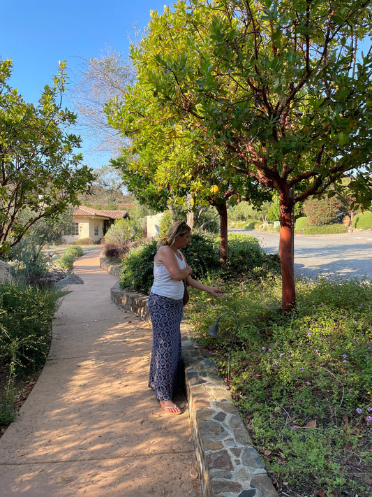 Blooms and Balance: My Earth Day Reflections