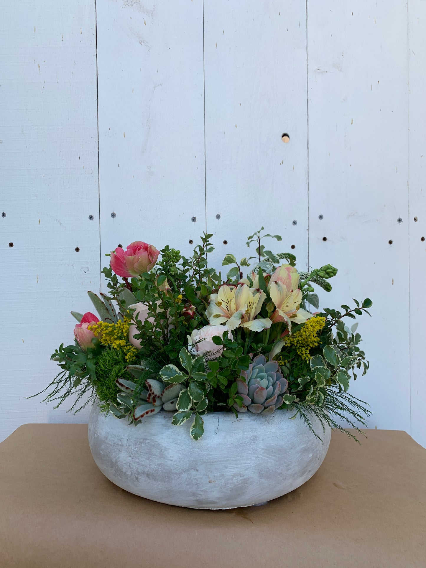 Living Arrangements | Rooted Beauty