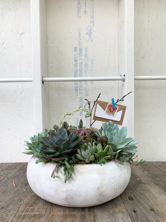 Living Arrangements | Rooted Beauty