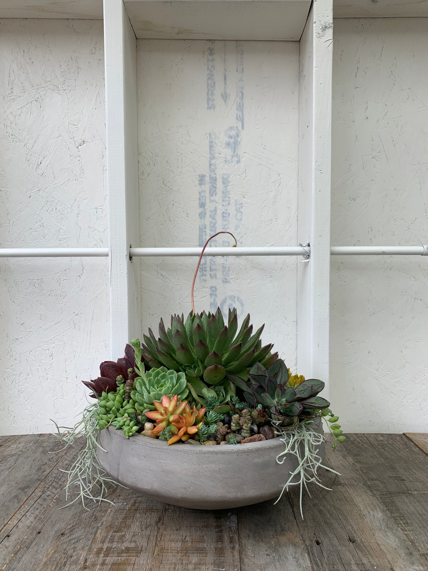 Living Arrangements | Rooted Beauty