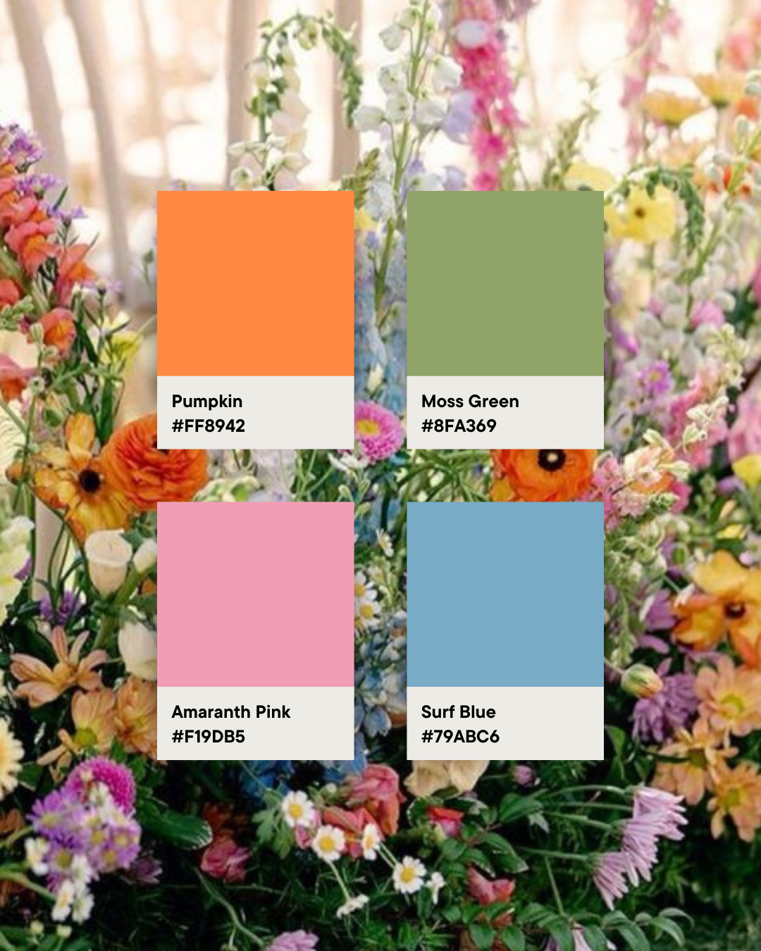 Aisle Petals | Petal-Lined Aisles