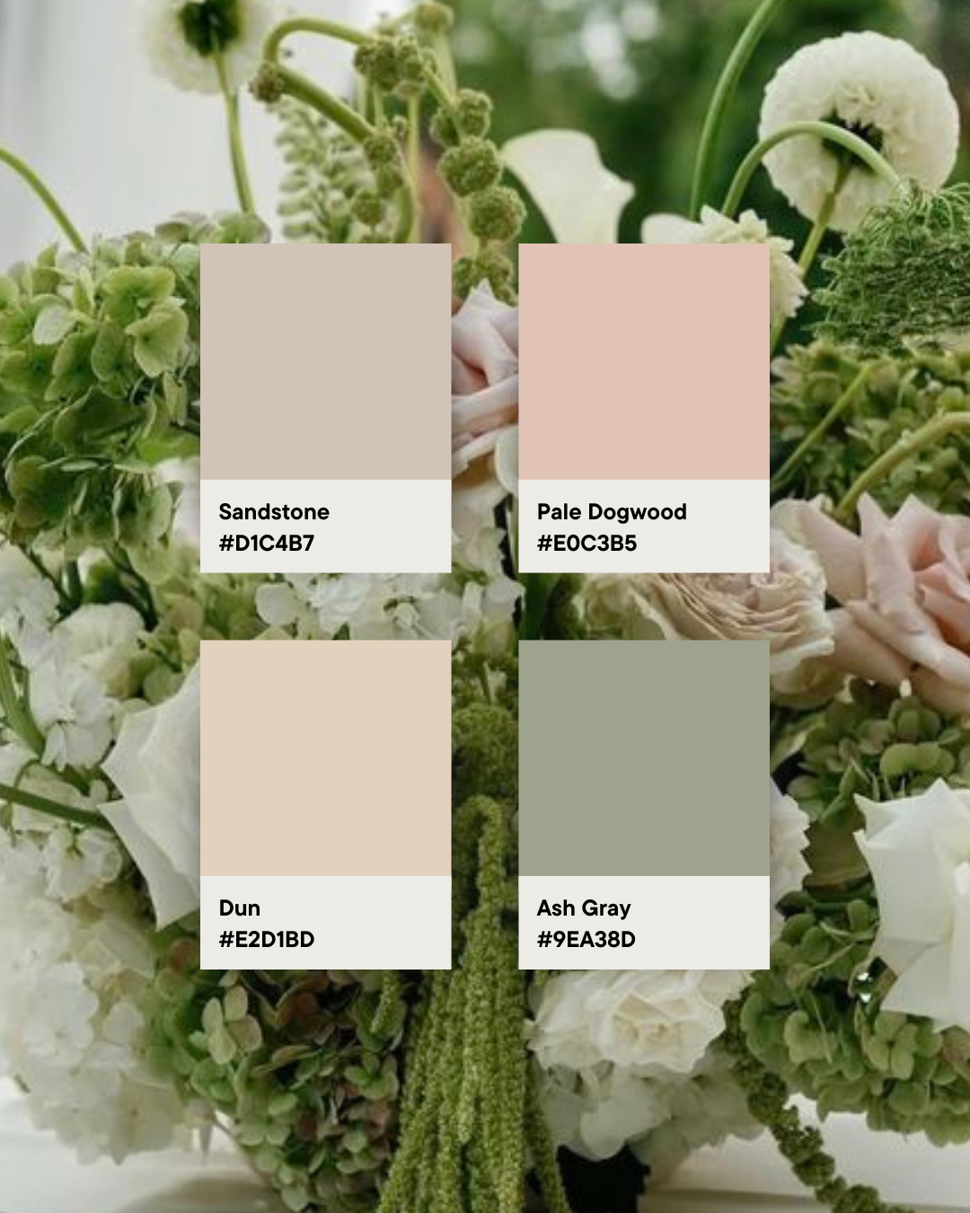 Aisle Petals | Petal-Lined Aisles