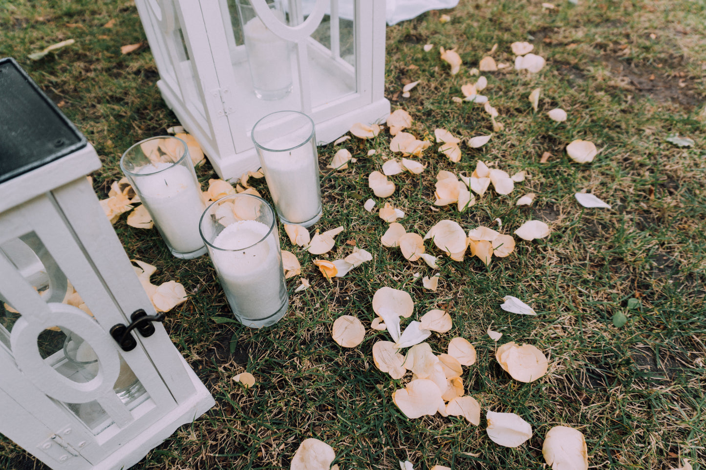 Aisle Petals | Petal-Lined Aisles