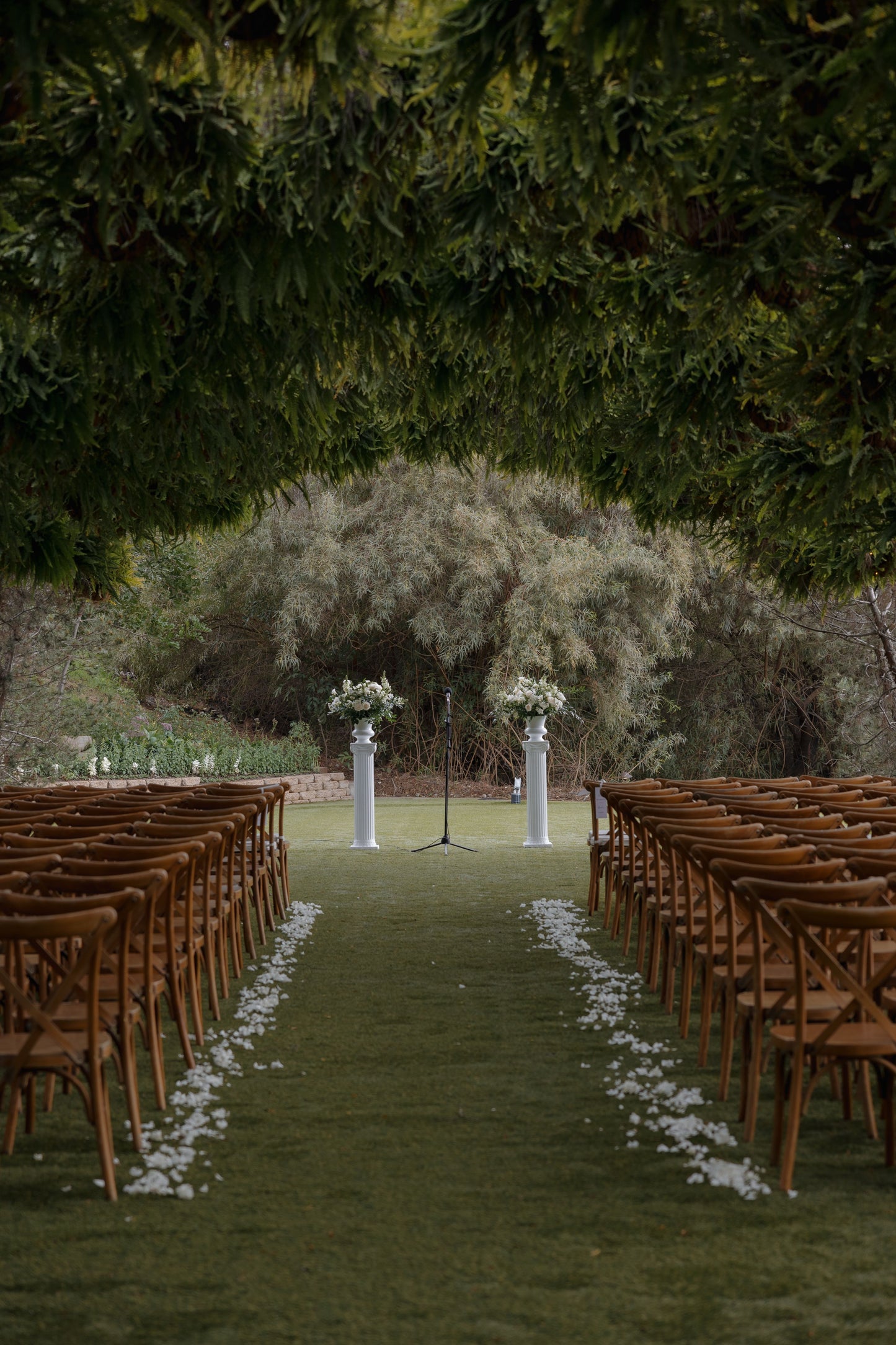 Aisle Petals | Petal-Lined Aisles